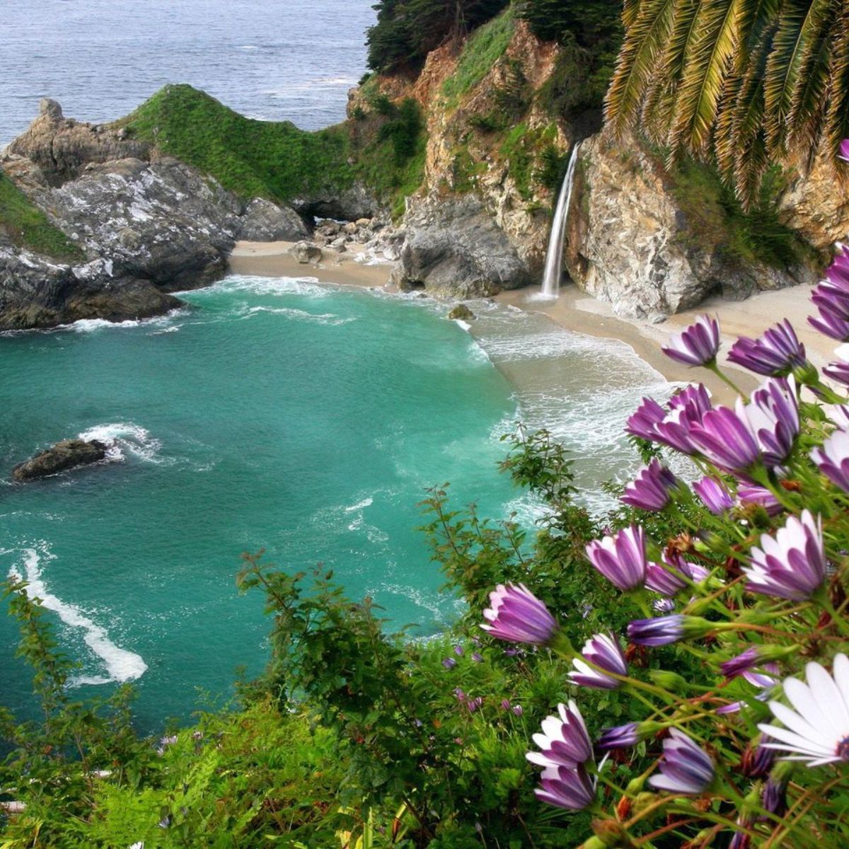 9 Best Campgrounds in Big Sur